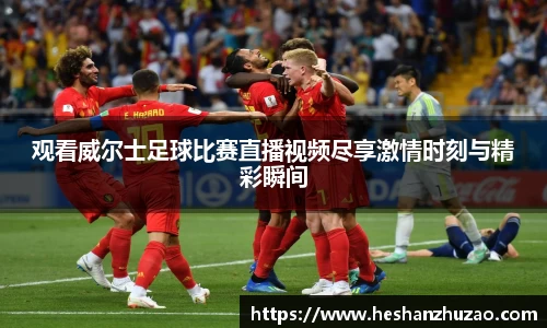 观看威尔士足球比赛直播视频尽享激情时刻与精彩瞬间