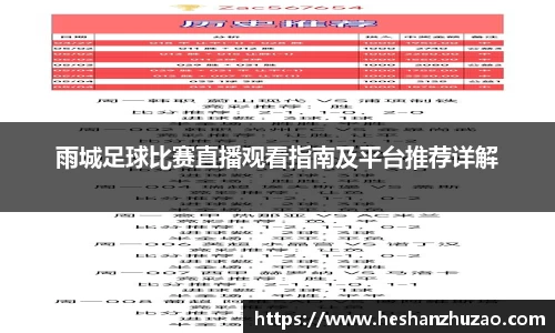雨城足球比赛直播观看指南及平台推荐详解