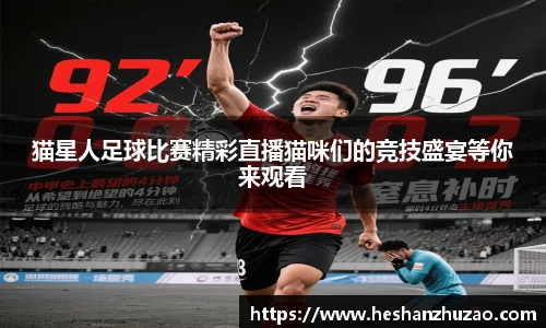 猫星人足球比赛精彩直播猫咪们的竞技盛宴等你来观看