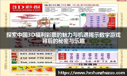 探索中国3D福利彩票的魅力与机遇揭示数字游戏背后的秘密与乐趣
