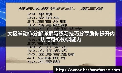 太极拳动作分解详解与练习技巧分享助你提升内功与身心协调能力